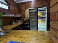 Қоғамдық тамақтану орны · 200 м², бағасы: 1 млн ₸ в Алматы, Алатауский р-н — фото 4