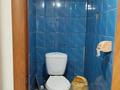 Часть дома · 4 комнаты · 89.9 м² · 10 сот., 19 линия 8А за 20 млн ₸ в Семее — фото 20