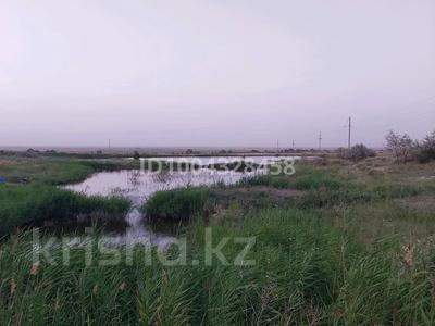 Ауыл шаруашылығы · 70000 м², бағасы: 98 млн ₸ в Сарыкемере