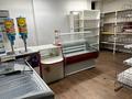 Дүкендер мен бутиктер · 45 м², бағасы: 25.5 млн ₸ в Усть-Каменогорске, Ахмирово — фото 13