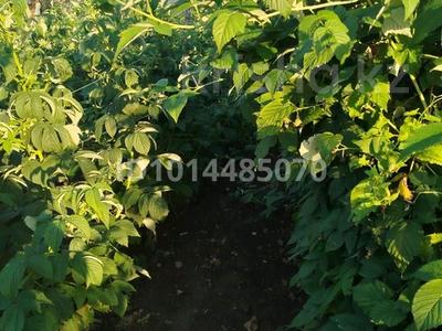 Участок · 20 соток, Аманжолова 42 — Тыныштык Аманжолова за 90 млн ₸ в Жанатурмысе