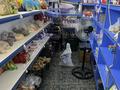 Магазины и бутики · 69 м² за 23 млн ₸ в Кентау — фото 6