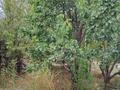 Жеке үй · 6 бөлме · 300 м² · 8 жүзд., Шұғыла ш/а., бағасы: 185 млн ₸ в Алматы, Наурызбайский р-н — фото 9