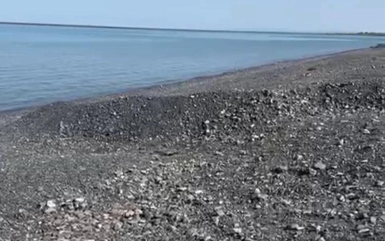 Участок · 2 га, Акщи за 75 млн 〒 в Акши — фото 4