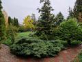 Жеке үй · 6 бөлме · 300 м² · 10 жүзд., Қарағайлы ш/а., бағасы: 260 млн ₸ в Алматы, Наурызбайский р-н — фото 21