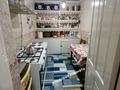 Отдельный дом · 4 комнаты · 120 м² · 10 сот., Тамды Аулие 76 — Угол Маяковского (Айтеке Би) за 20 млн ₸ в Каратау — фото 19