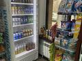 Магазин разливных напитков ( пивной магазин ), 50 м² за 9 млн 〒 в Алматы, Алмалинский р-н — фото 8
