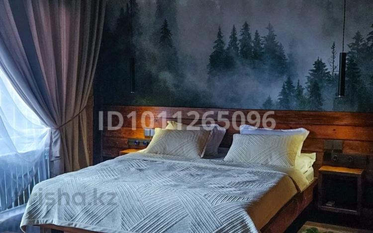 Дом · 1 комната · 36 м², Ст Ремизовка 438 за 38 000 ₸ в Алматы, Бостандыкский р-н — фото 23