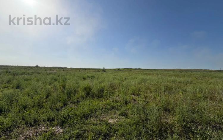Участок · 150 соток, Монке би — СРОЧНО за 375 млн ₸ в Алматы, Алатауский р-н — фото 2
