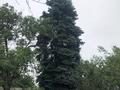 Саяжай · 2 бөлме · 30 м² · 6 сот., Урючная 8 — С/о Аксай 19, бағасы: 19 млн ₸ в Кыргауылдах — фото 5