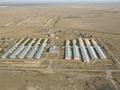 Сельское хозяйство · 50000 м² за 22.4 млрд ₸ в  — фото 3