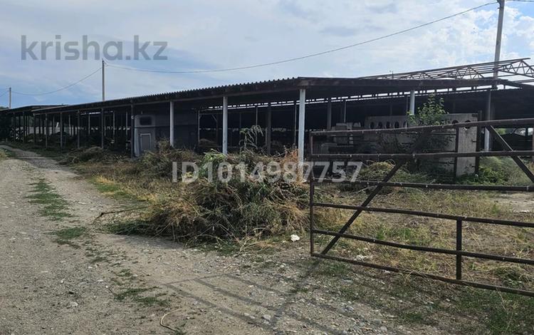 Промбаза · 100 соток, Набережная 5 — На окраине посёлка за 450 000 ₸ в Байтереке (Новоалексеевке) — фото 2