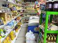 Магазины и бутики · 60 м² за 8 млн ₸ в Астане, Нура р-н — фото 5