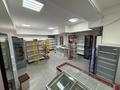 Свободное назначение · 97.5 м² за 19.5 млн ₸ в Косшы — фото 3