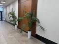 3-комнатная квартира · 83 м² · 5/13 этаж, тауелсиздик 25 за 49 млн ₸ в Астане, Алматы р-н — фото 12