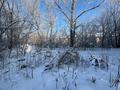 Участок · 11 соток, Казахстанская 17 за 1.5 млн ₸ в Темиртау — фото 5