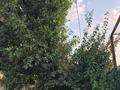 Отдельный дом · 5 комнат · 200 м² · 23 сот., Ибрагимова 15 — Тараз, массив Красная-Звезда за 45 млн ₸ — фото 23