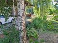 Отдельный дом · 5 комнат · 200 м² · 23 сот., Ибрагимова 15 — Тараз, массив Красная-Звезда за 45 млн ₸ — фото 7