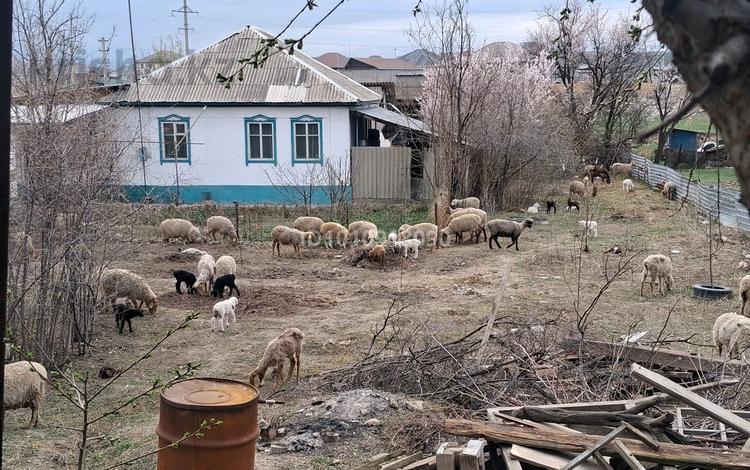 Жер телімі · 6 сотық, Жамбыл 140 — Рядом с Бесконыс магазин, бағасы: 5.5 млн 〒 в Узынагаш — фото 2