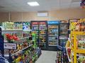 Магазины и бутики · 200 м² за 35 млн ₸ в Новокаменка — фото 15