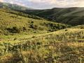 Участок · 31 га, Ынтымак(Жамбылский район) за 16 млн ₸