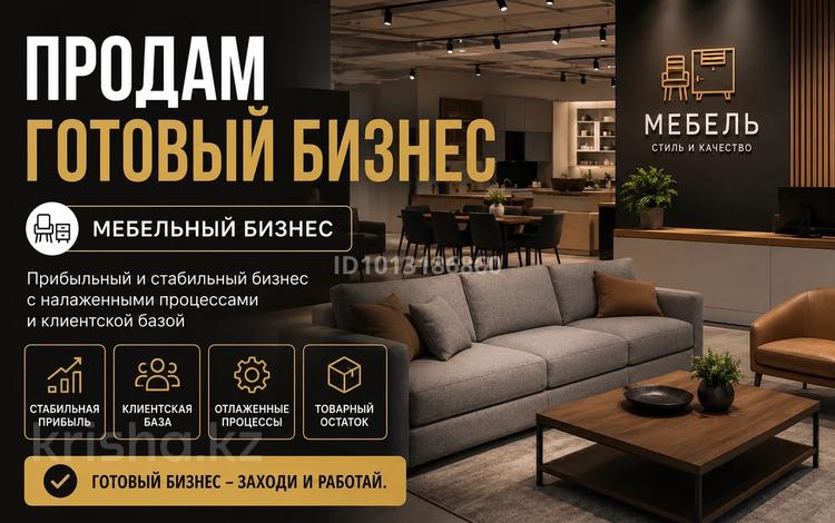 Готовый бизнем · 221 м² за 120 млн ₸ в Костанае — фото 2