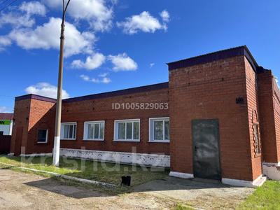 Еркін, қоймалар, қоғамдық тамақтану орны · 882 м², бағасы: 85 млн ₸ в Новоишимском