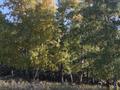 1-бөлмелі пәтер · 30 м² · 2/2 қабат, Микрорайон горный 7, бағасы: 12 000 ₸ в Щучинске — фото 32