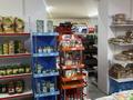 Действуюший продуктовый магазин, 200 м², бағасы: 55 млн 〒 в Актау, 35-мкр — фото 13