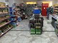 Действуюший продуктовый магазин, 200 м² за 55 млн 〒 в Актау, 35-мкр — фото 15