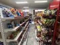 Действуюший продуктовый магазин, 200 м², бағасы: 55 млн 〒 в Актау, 35-мкр — фото 7