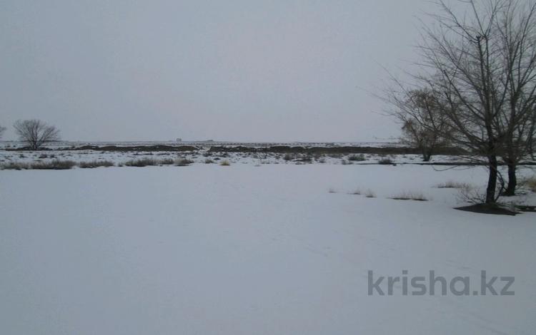 Участок · 150 соток, Обл.Алматинская, г.Капшагай, ул.Сев.Побер Капшаг. Водохран,б/о Алматы-Демалысы уч.99, 98 за 21 млн 〒 в Конаеве (Капчагай) — фото 2