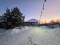 Отдельный дом · 5 комнат · 180 м² · 9.2 сот., Дружба 106 за 39 млн ₸ в Трекино