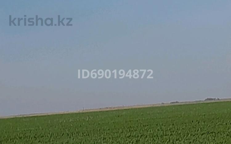 Участок · 540 га, Астраханка за 165 млн ₸ — фото 2