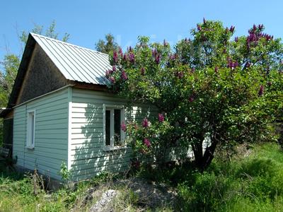 Дача · 3 комнаты · 32 м² · 8 сот., СТ Железнодорожник 34 — Вишневая за 7.5 млн 〒 в Енбекши (Талгарский район)