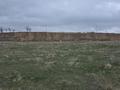 Участок · 6 соток, мкр Туран — Дауір за 55 млн ₸ в Шымкенте, Каратауский р-н — фото 2