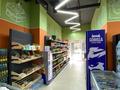 Еркін · 71 м², бағасы: 1 млн ₸ в Астане, Нура р-н — фото 10