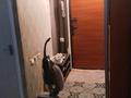 2-бөлмелі пәтер · 50 м² · 2/5 қабат, мкр Восток 63 — Жолан батыра, бағасы: 22 млн ₸ в Шымкенте, Аль-Фарабийский р-н — фото 4