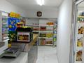 Свободное назначение, магазины и бутики • 32 м² за 10 млн 〒 в Астане, Алматы р-н — фото 4