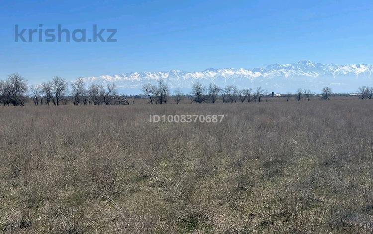 Жер телімі · 5 га, Тонкерис, бағасы: ~ 8.8 млн ₸ — фото 3