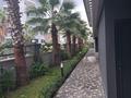 2-комнатная квартира · 44 м² · 1/2 этаж, Avsallar, Karaçaltı Cd. 22-26, 07410 Alanya/Antalya, Турция C1 за 71.5 млн 〒 в Аланье — фото 11