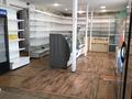 Дүкендер мен бутиктер · 152 м², бағасы: 3.5 млн ₸ в Серебрянске — фото 10