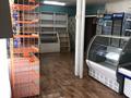 Дүкендер мен бутиктер · 152 м², бағасы: 3.5 млн ₸ в Серебрянске — фото 3