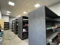Еркін · 300 м², бағасы: 700 000 ₸ в Алатау, мкр Ынтымак — фото 3