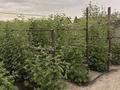 Жеке үй · 5 бөлме · 102.6 м² · 8.3 жүзд., Кенесары хана 126, бағасы: 46 млн ₸ в Кенена Азербаева (Покровка) — фото 54