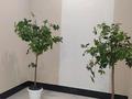 2-бөлмелі пәтер · 68.3 м² · 2/9 қабат, Нурмагамбетова 25 — Нажимеденова, бағасы: 46.5 млн ₸ в Астане, Сарайшык р-н — фото 38