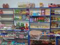 Магазины и бутики · 40 м² за 15 млн ₸ в Аксукенте