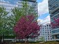 3-комнатная квартира · 125 м², Аль-Фараби 77/1 за 1.7 млн ₸ в Алматы, Бостандыкский р-н