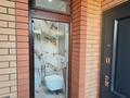 Отдельный дом · 7 комнат · 386 м² · 10 сот., С. Бурашева 18/19 за 250 млн ₸ в Каскелене — фото 29