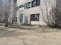 Завод 4 га, Шапагат . за 280 млн 〒 в Арайлы — фото 6